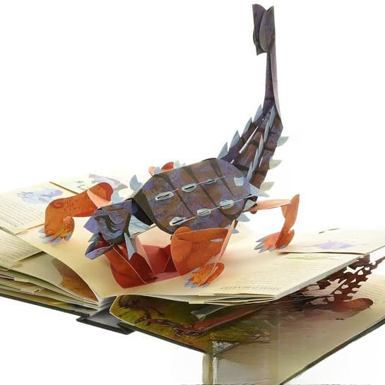 Encyklopedia 3D „Prehistoryka Dinozaury” 📙 Twarda oprawa