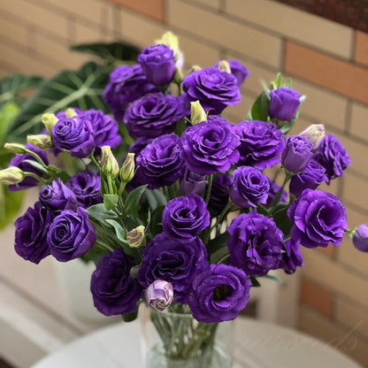 Nasiona bezkolcowych róż Eustoma (100 sztuk) 💐 Nasiona lisianthus