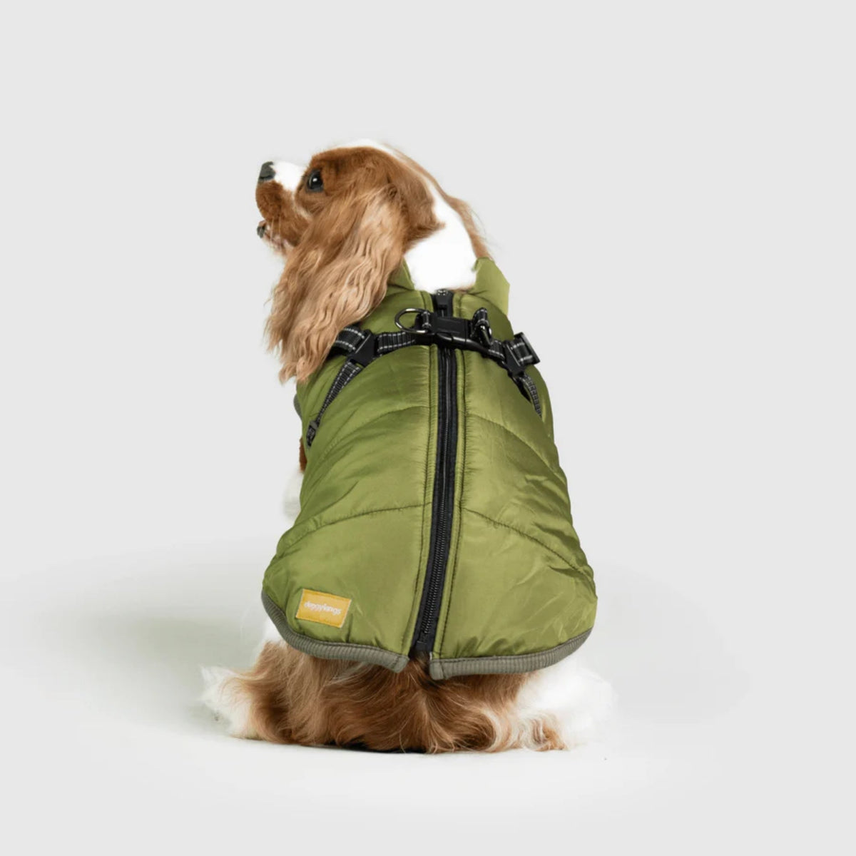 DoggyKings™ płaszcz dla psów (3 w 1)