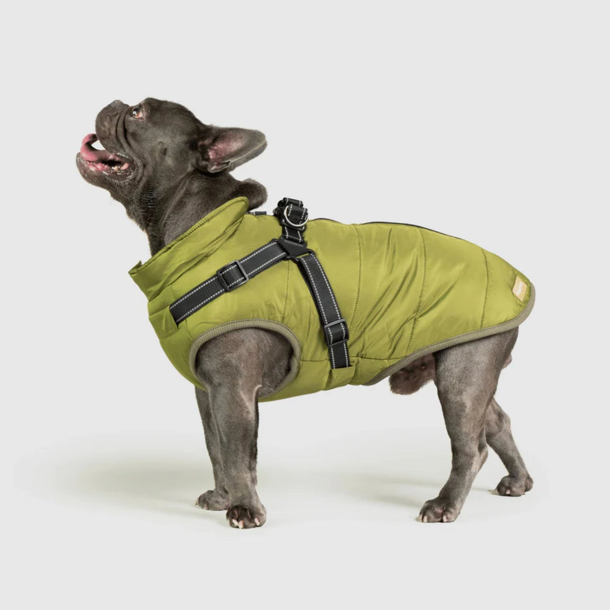 DoggyKings™ płaszcz dla psów (3 w 1)