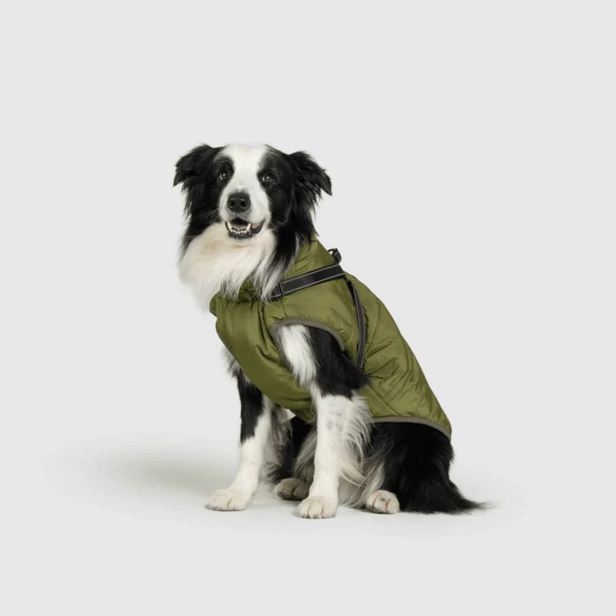 DoggyKings™ płaszcz dla psów (3 w 1)