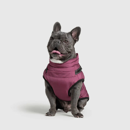 DoggyKings™ płaszcz dla psów (3 w 1)