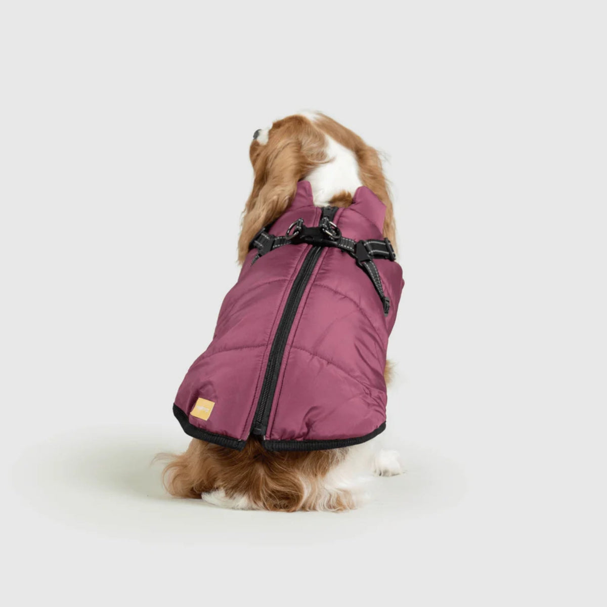 DoggyKings™ płaszcz dla psów (3 w 1)