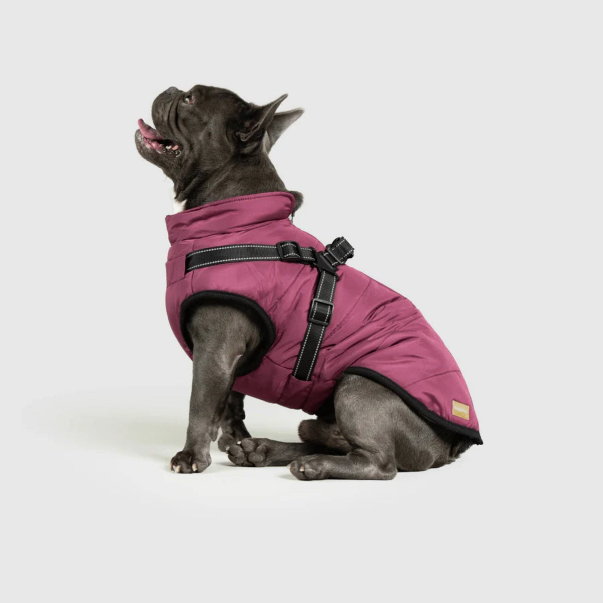 DoggyKings™ płaszcz dla psów (3 w 1)