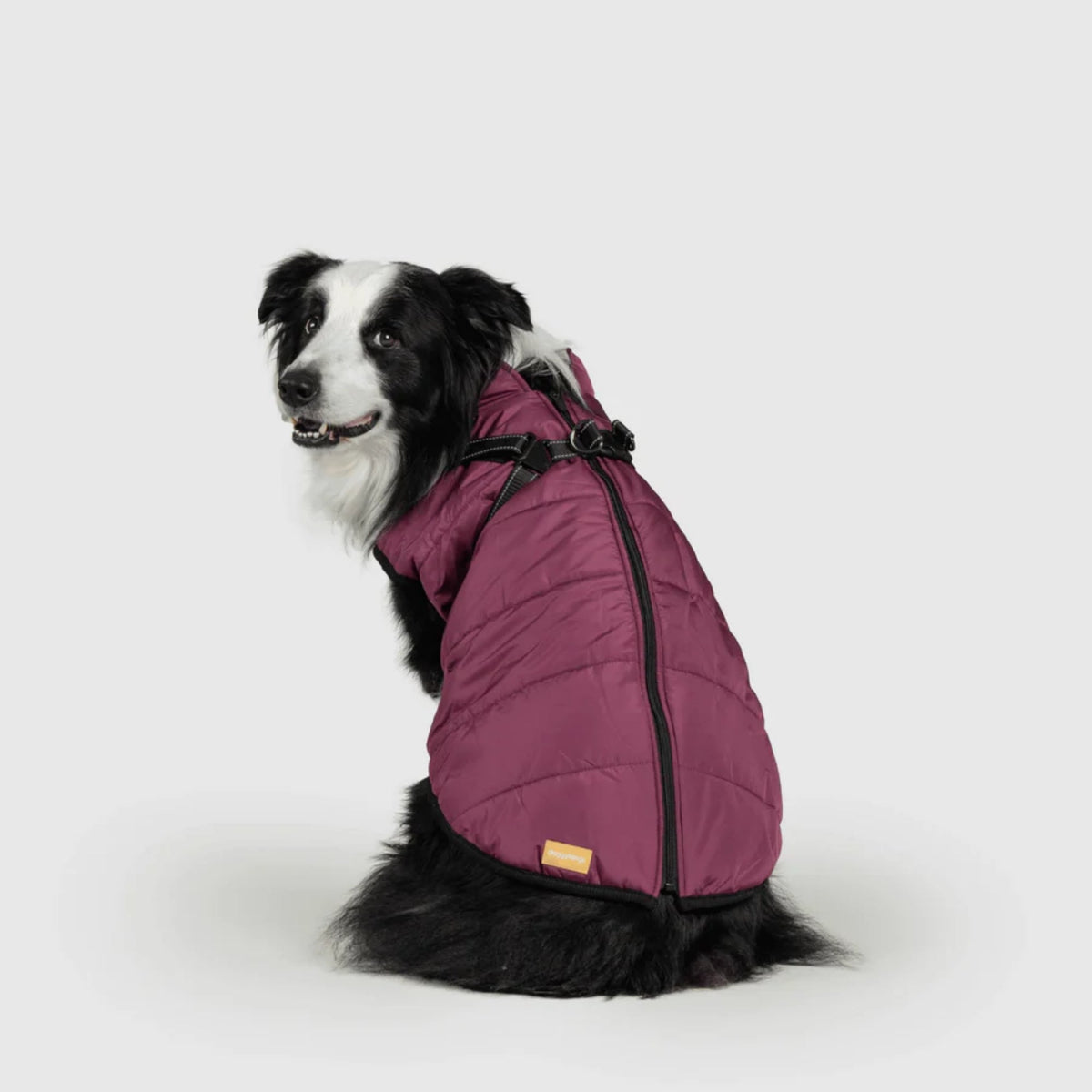 DoggyKings™ płaszcz dla psów (3 w 1)