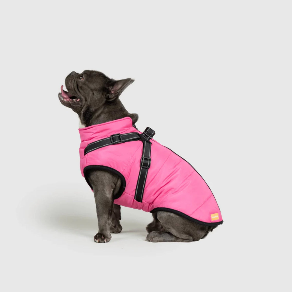 DoggyKings™ płaszcz dla psów (3 w 1)