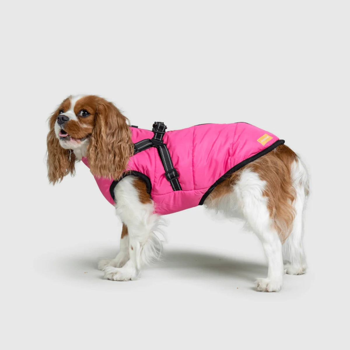DoggyKings™ płaszcz dla psów (3 w 1)