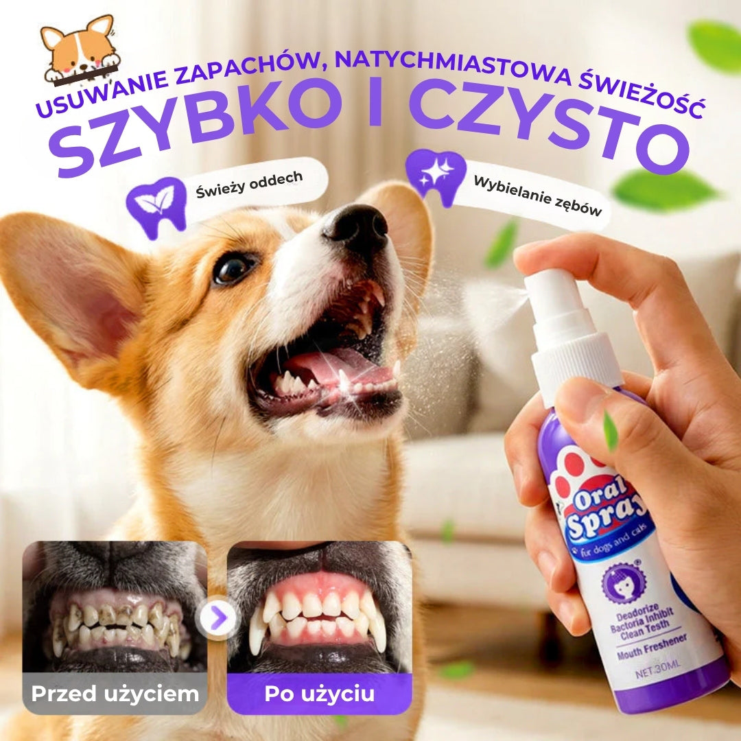 Spray do czyszczenia zębów dla zwierząt domowych