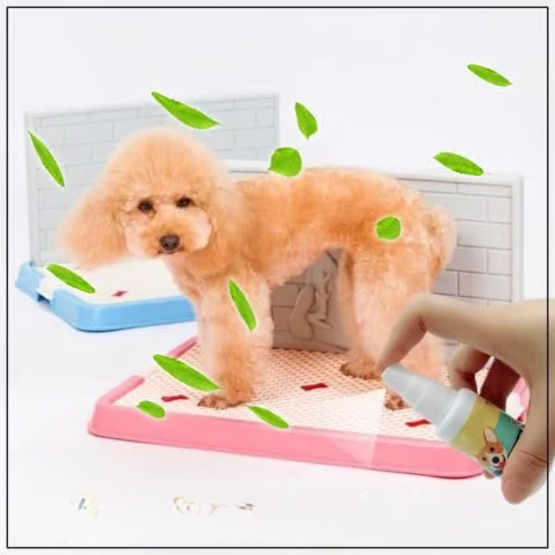 Spray do szkolenia psów
