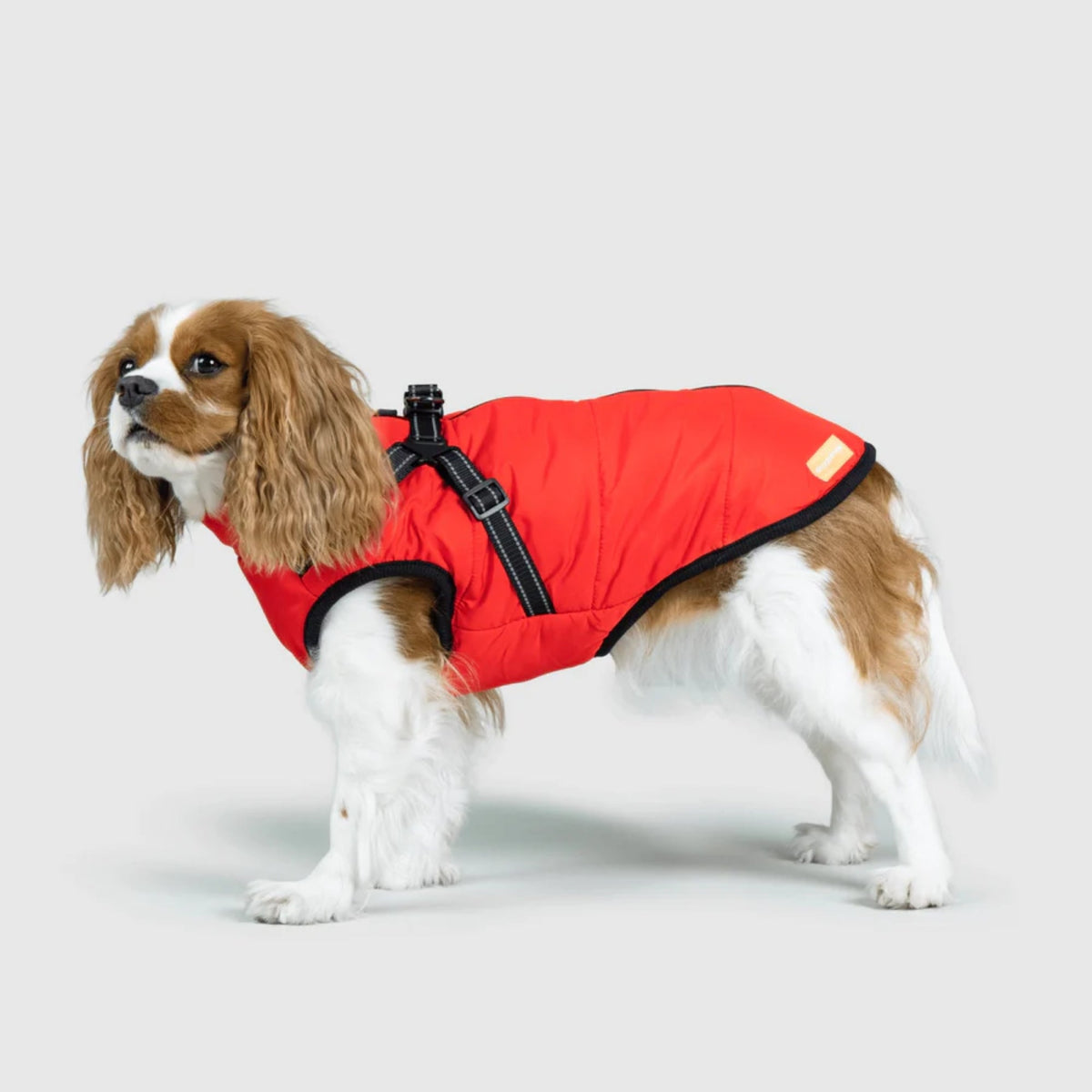 DoggyKings™ płaszcz dla psów (3 w 1)