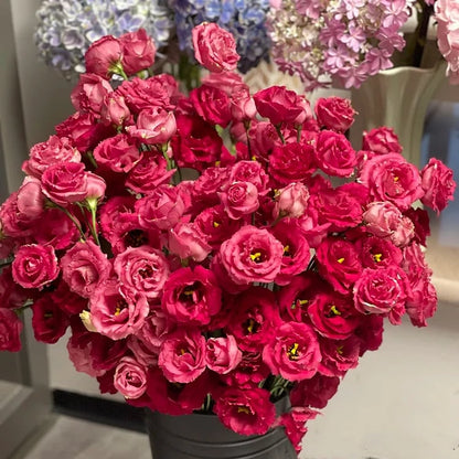 Nasiona bezkolcowych róż Eustoma (100 sztuk) 💐 Nasiona lisianthus