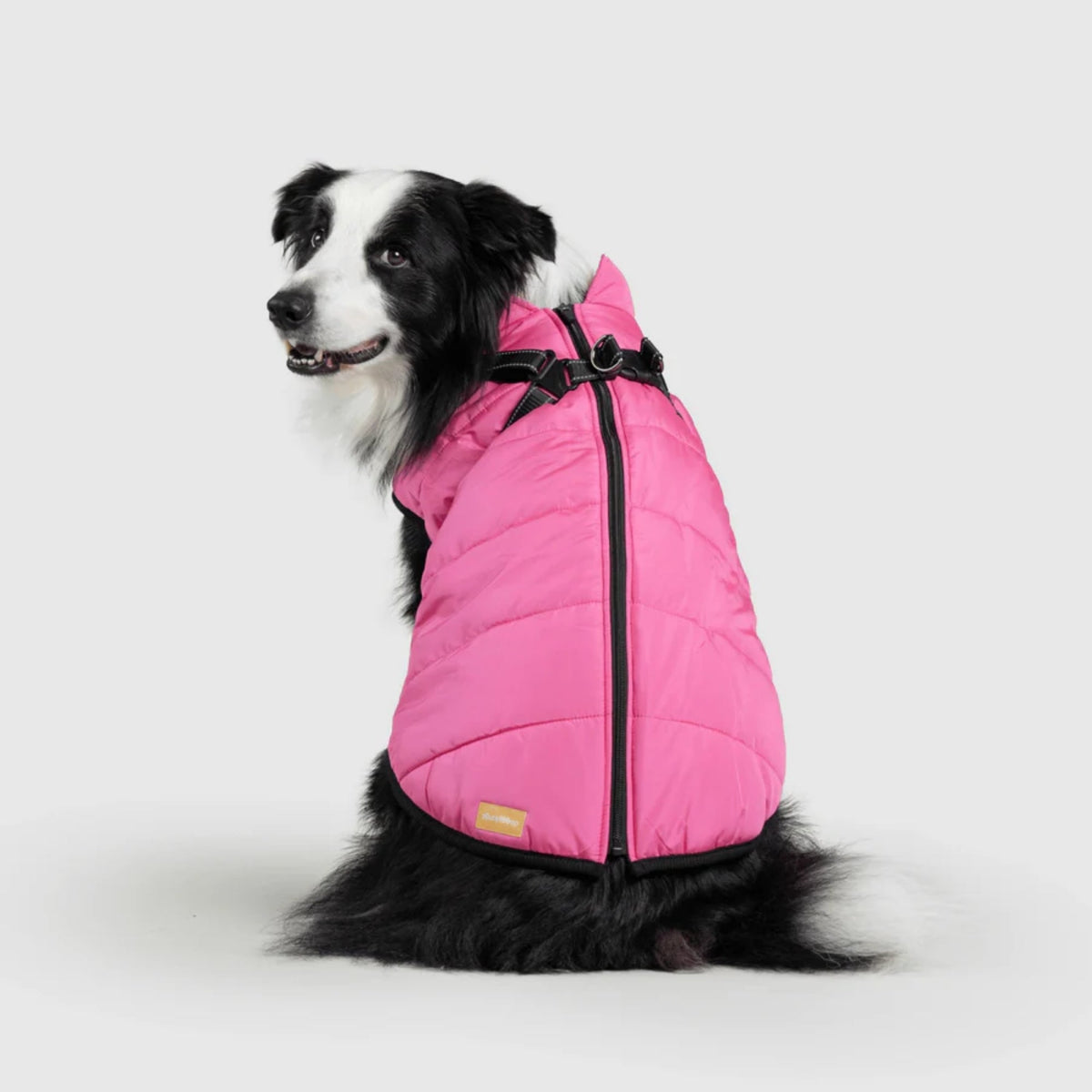 DoggyKings™ płaszcz dla psów (3 w 1)