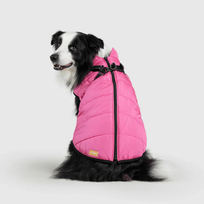 DoggyKings™ płaszcz dla psów (3 w 1)