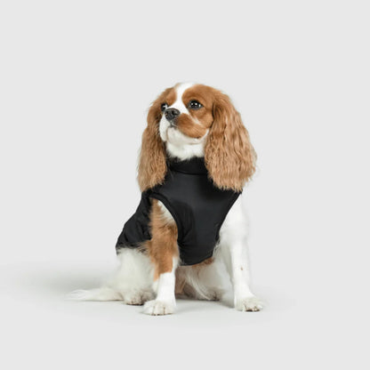 DoggyKings™ płaszcz dla psów (3 w 1)