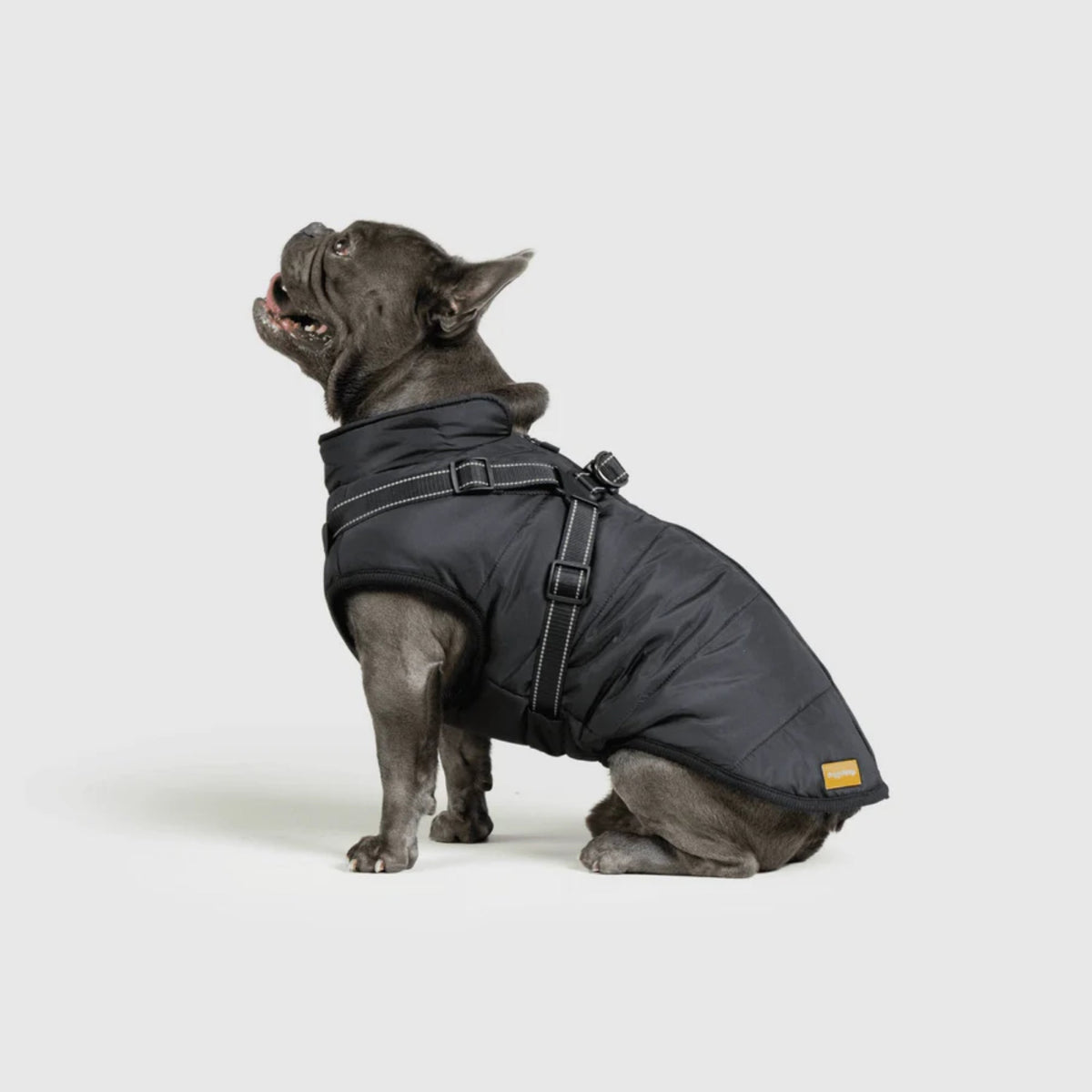 DoggyKings™ płaszcz dla psów (3 w 1)