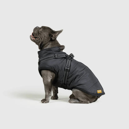 DoggyKings™ płaszcz dla psów (3 w 1)