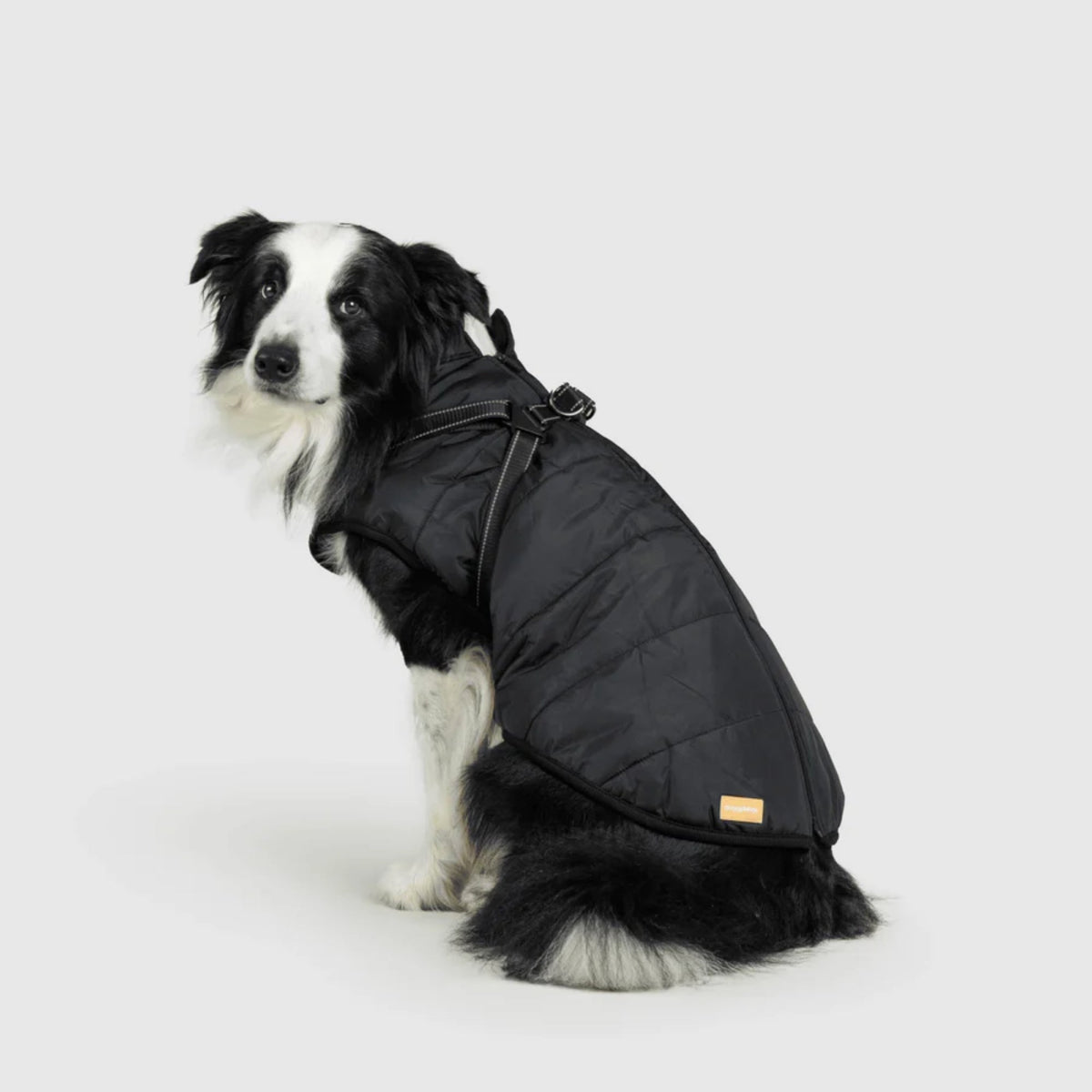 DoggyKings™ płaszcz dla psów (3 w 1)