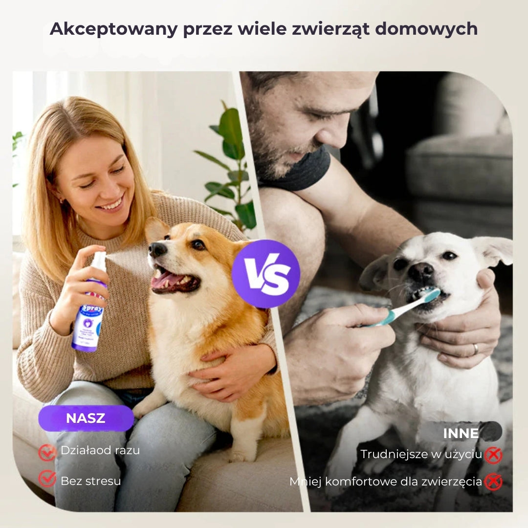 Spray do czyszczenia zębów dla zwierząt domowych