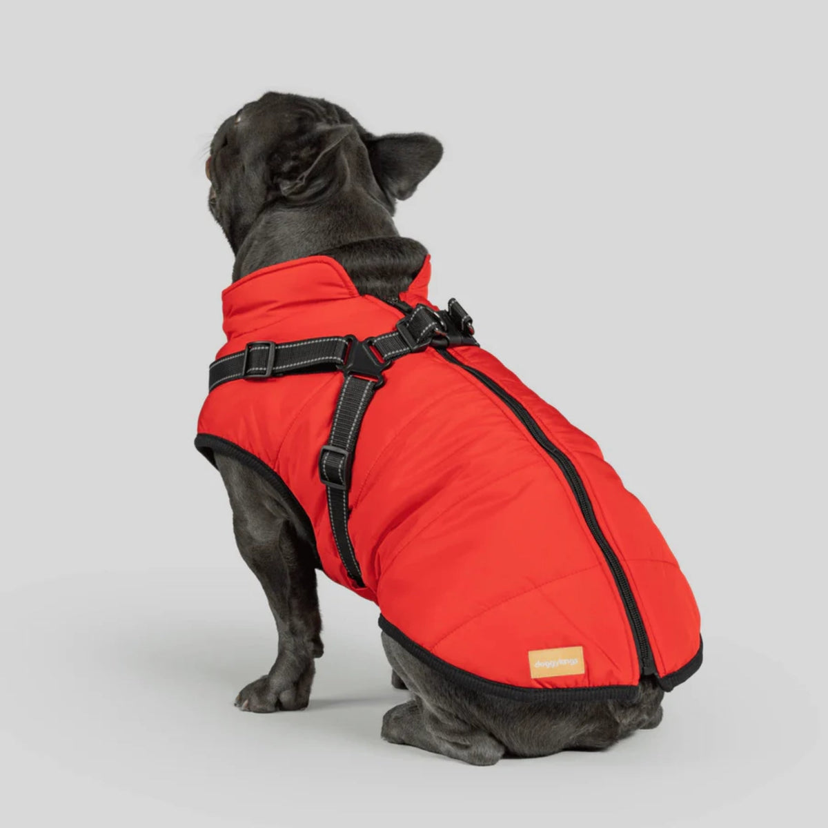 DoggyKings™ płaszcz dla psów (3 w 1)