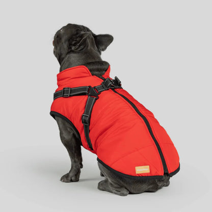 DoggyKings™ płaszcz dla psów (3 w 1)