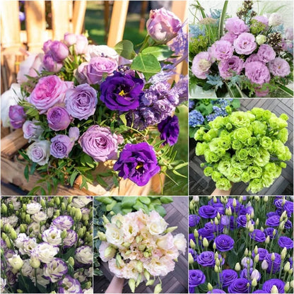 Nasiona bezkolcowych róż Eustoma (100 sztuk) 💐 Nasiona lisianthus
