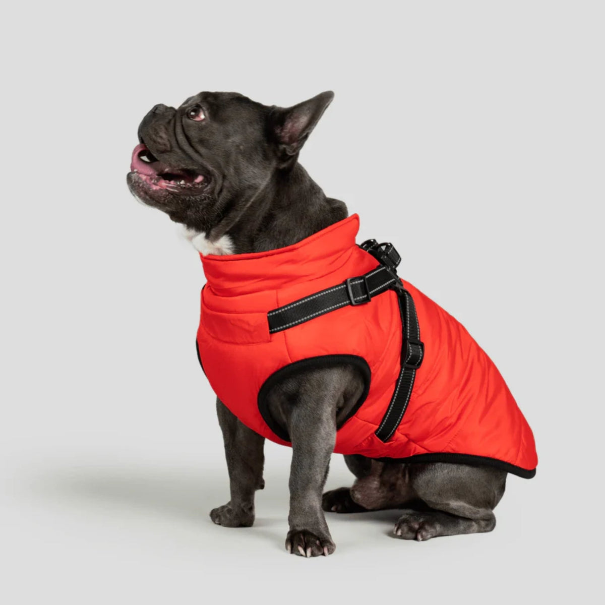 DoggyKings™ płaszcz dla psów (3 w 1)