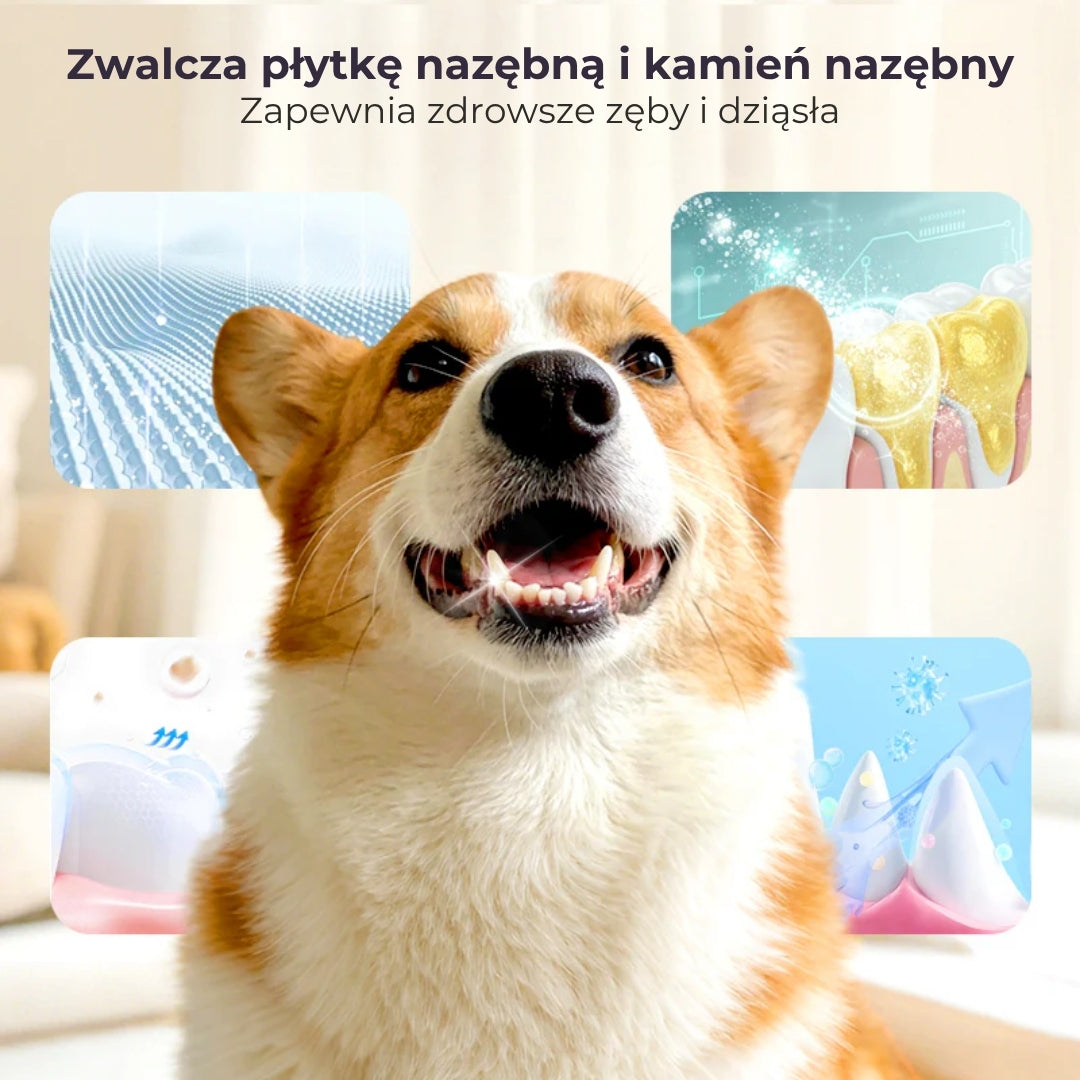 Spray do czyszczenia zębów dla zwierząt domowych