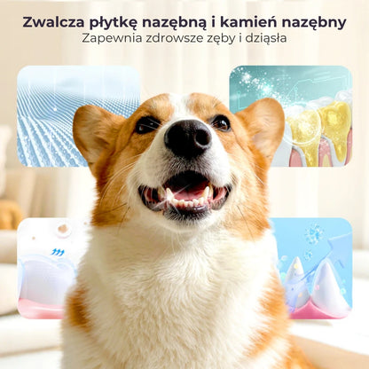 Spray do czyszczenia zębów dla zwierząt domowych