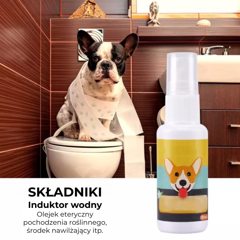 Spray do szkolenia psów