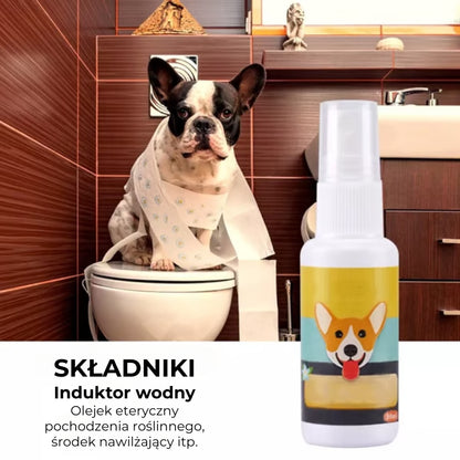 Spray do szkolenia psów