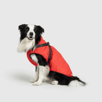 DoggyKings™ płaszcz dla psów (3 w 1)