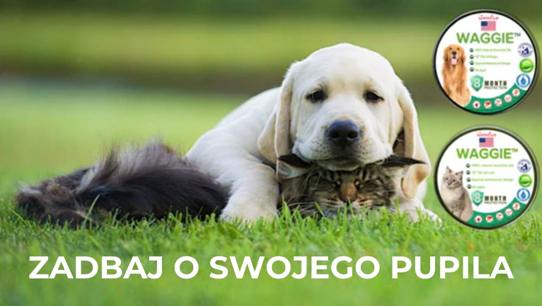 Naturalna obroża przeciw pchłom i kleszczom – Waggie™