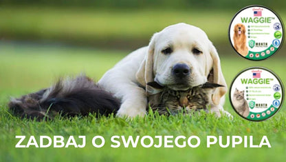 Naturalna obroża przeciw pchłom i kleszczom – Waggie™