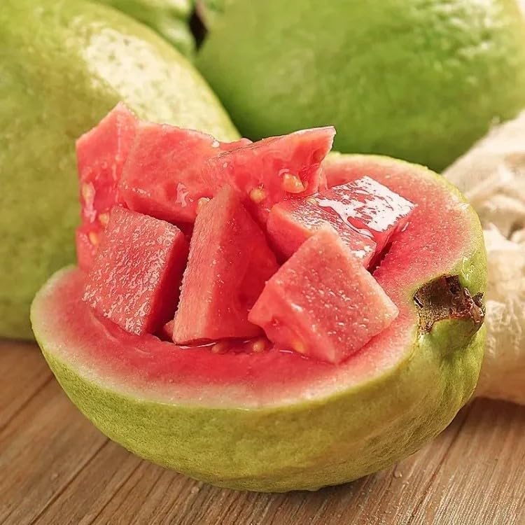 Nasiona różowej guawy – 60 sztuk