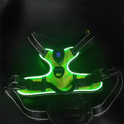 Pawgear LED Light - świetlna uprząż dla psów