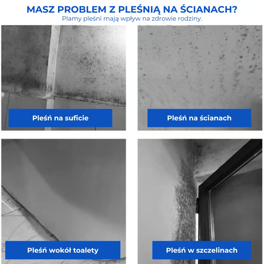 Szybko działający spray przeciw pleśni do krawędzi ścian