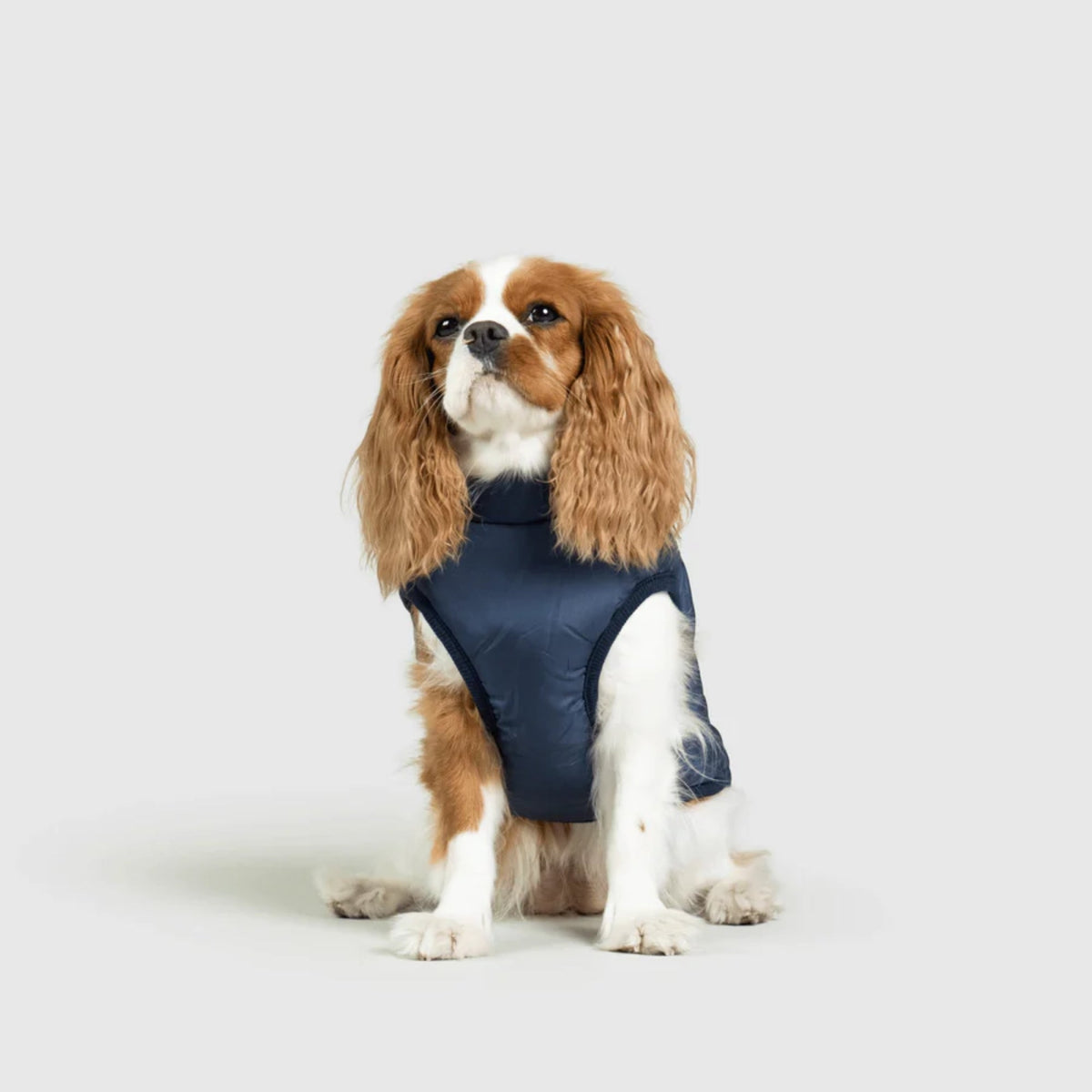 DoggyKings™ płaszcz dla psów (3 w 1)