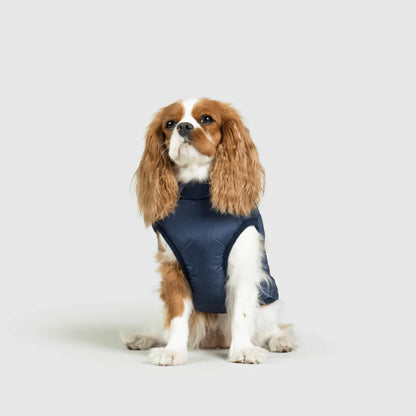 DoggyKings™ płaszcz dla psów (3 w 1)