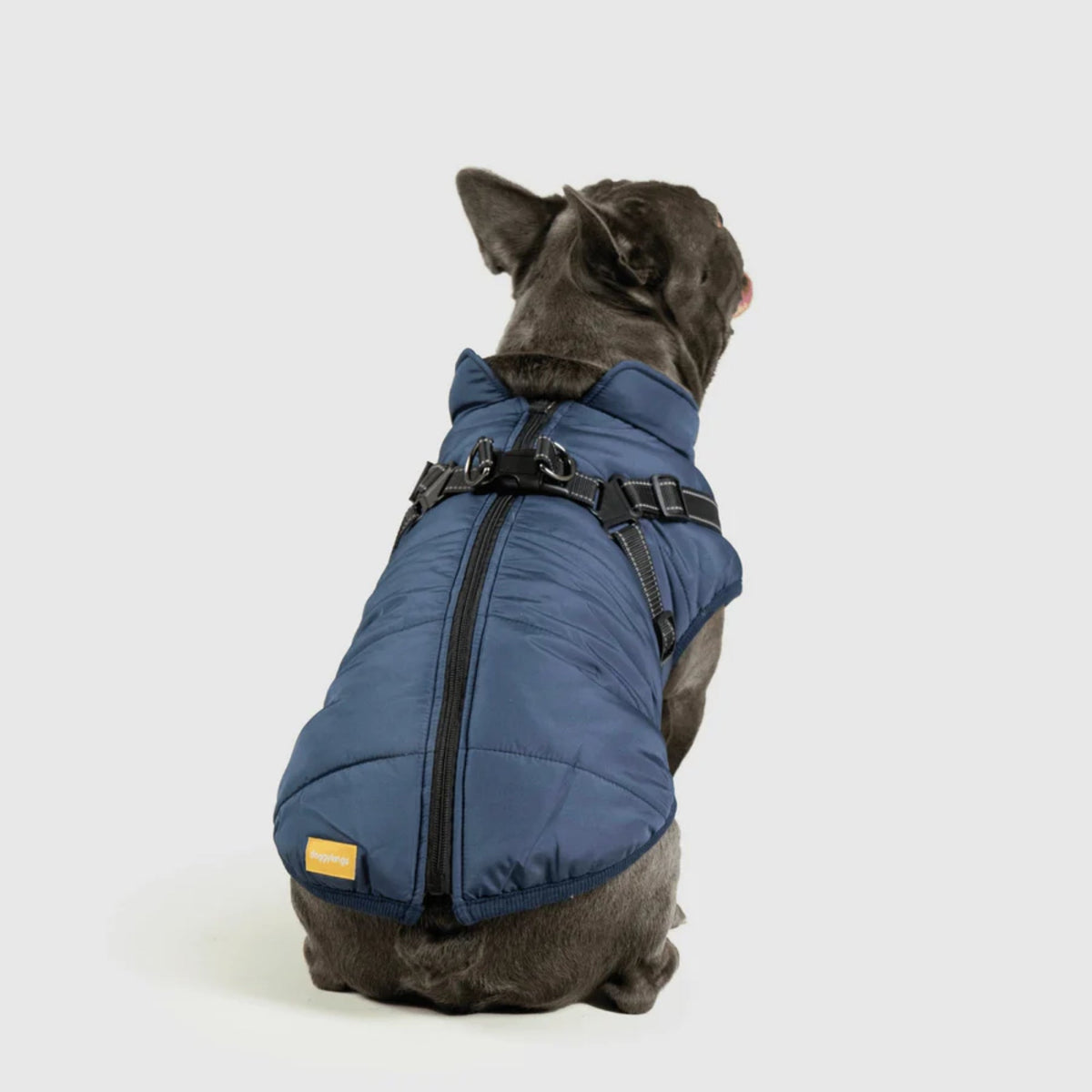 DoggyKings™ płaszcz dla psów (3 w 1)