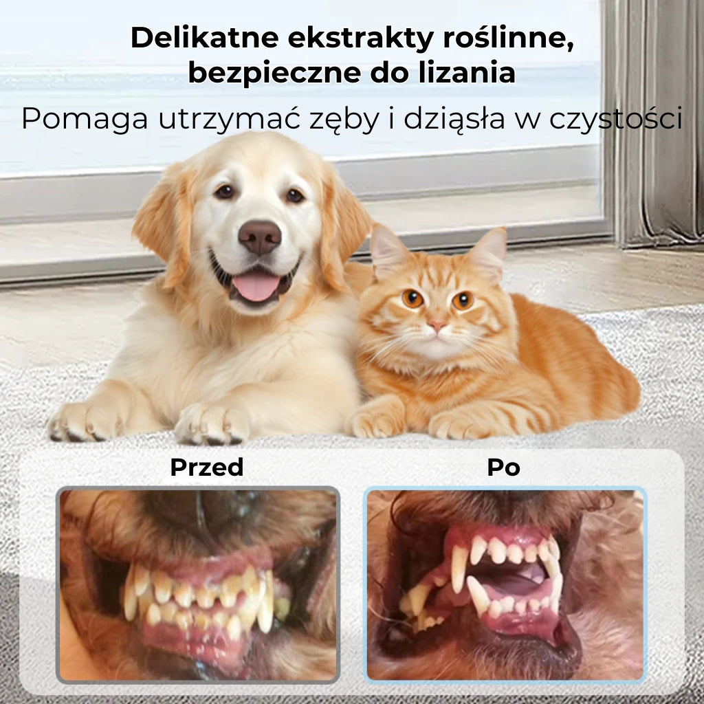Spray do higieny jamy ustnej dla psów i kotów (świeży oddech)
