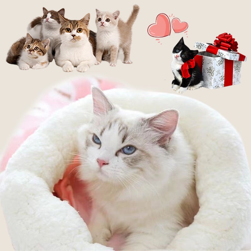 🐾 Przytulne legowisko dla kotów i psów