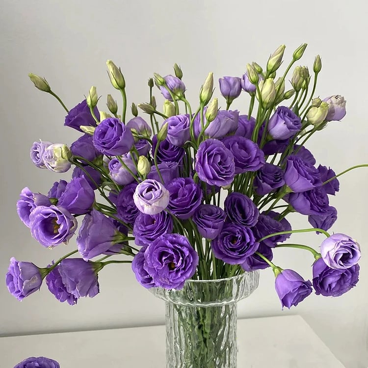 Nasiona bezkolcowych róż Eustoma (100 sztuk) 💐 Nasiona lisianthus