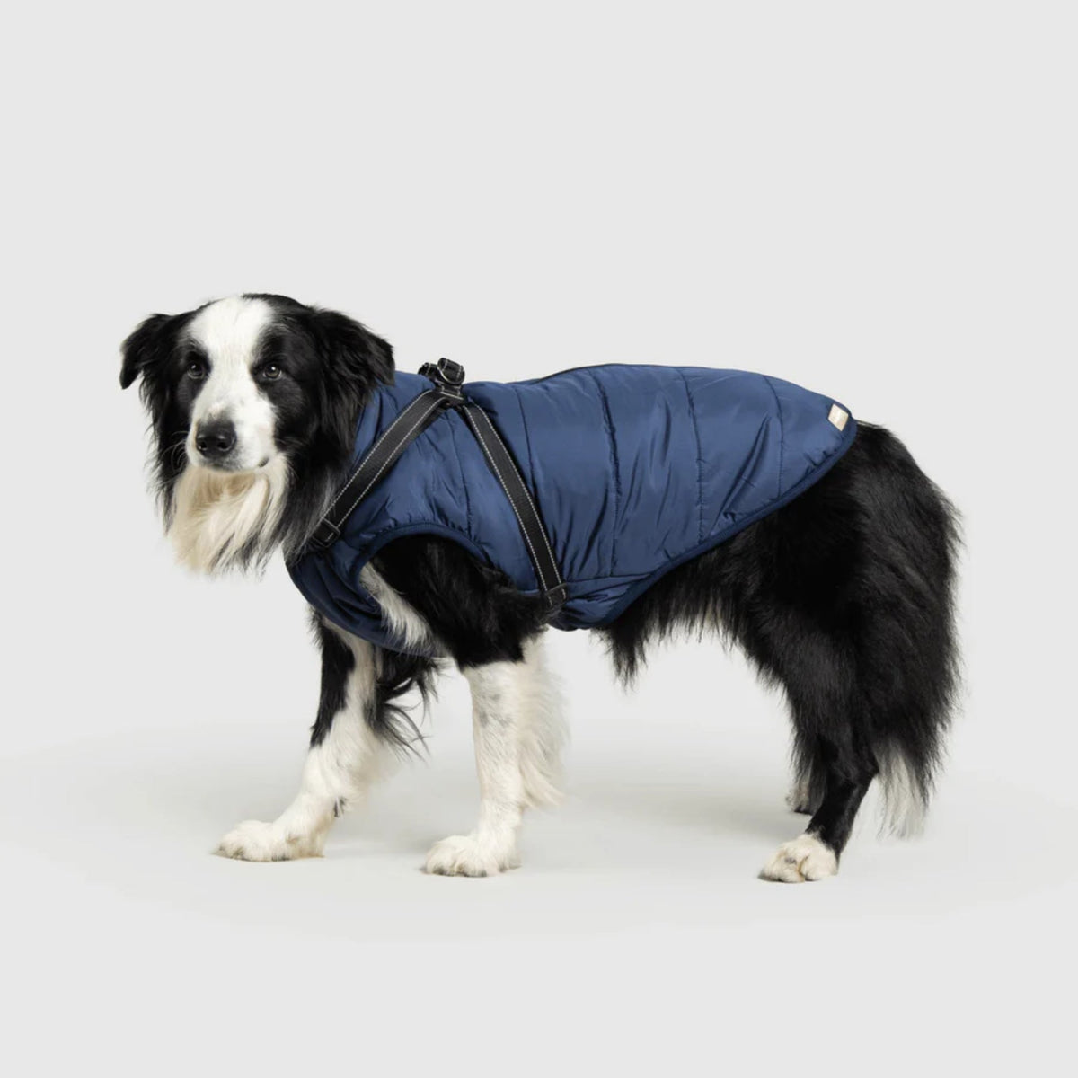 DoggyKings™ płaszcz dla psów (3 w 1)
