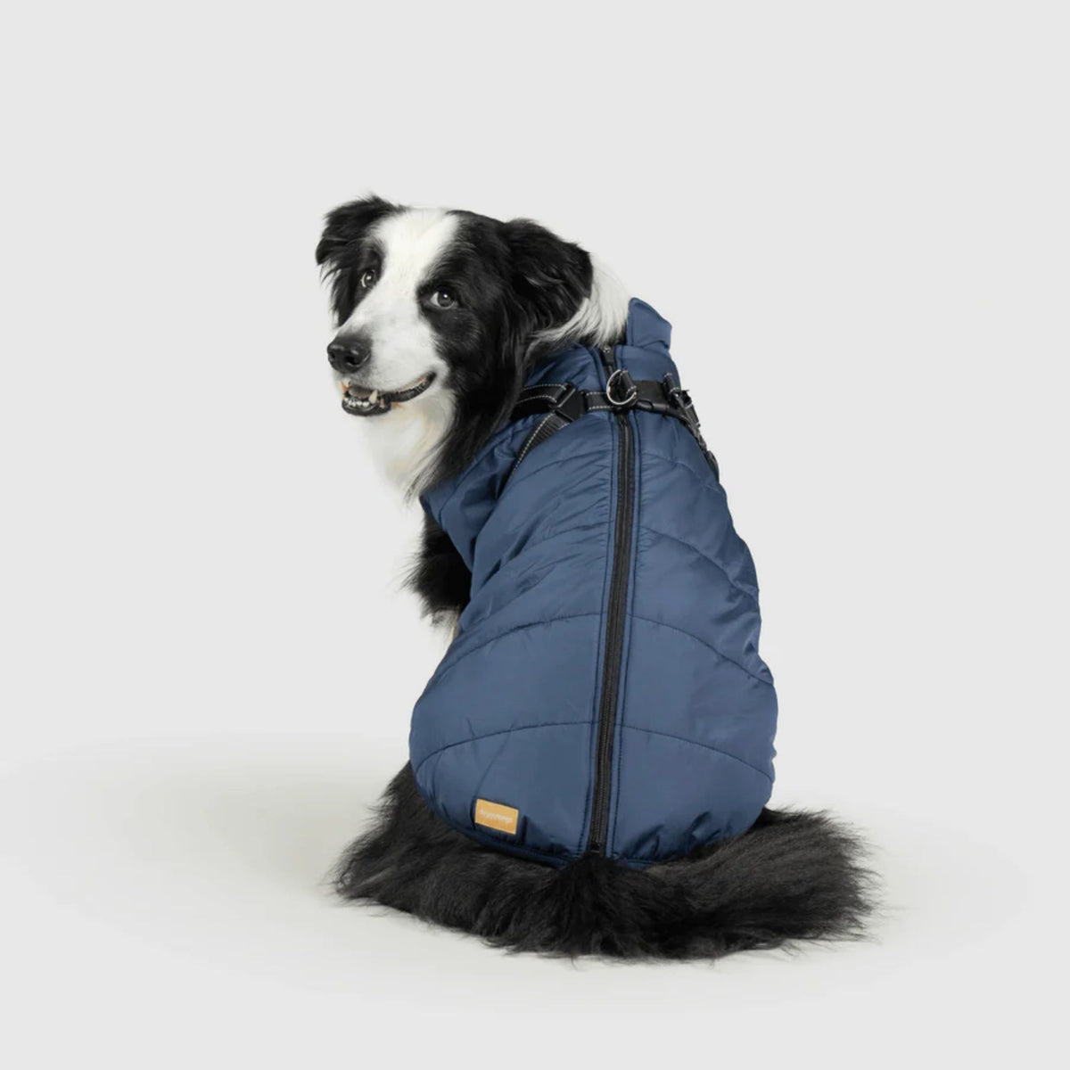 DoggyKings™ płaszcz dla psów (3 w 1)