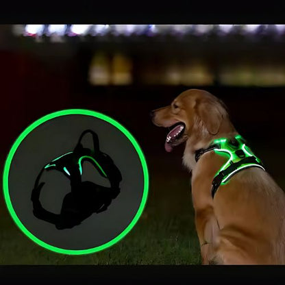 Pawgear LED Light - świetlna uprząż dla psów