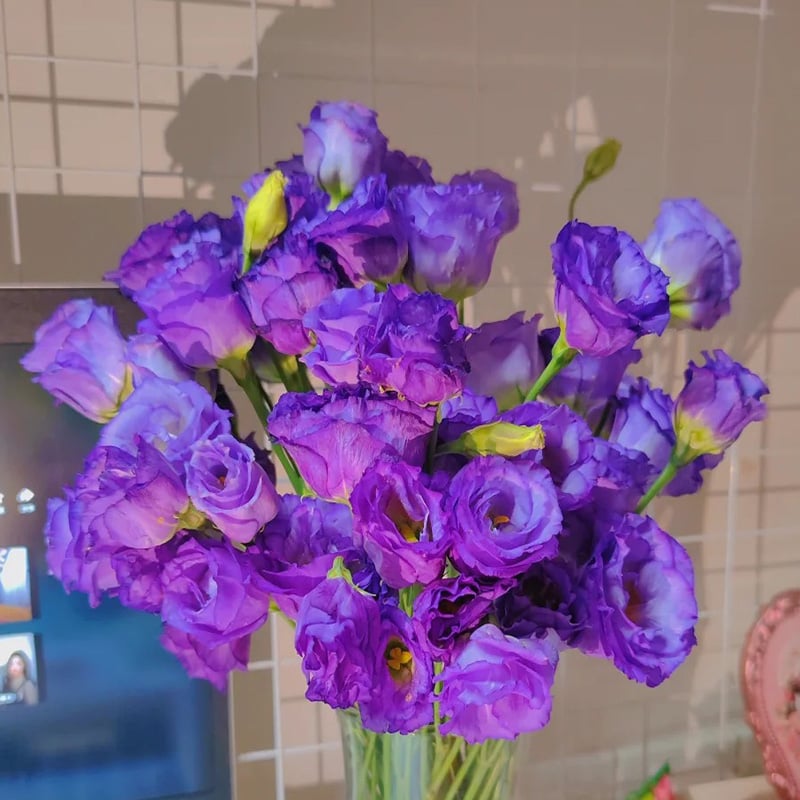 Nasiona bezkolcowych róż Eustoma (100 sztuk) 💐 Nasiona lisianthus