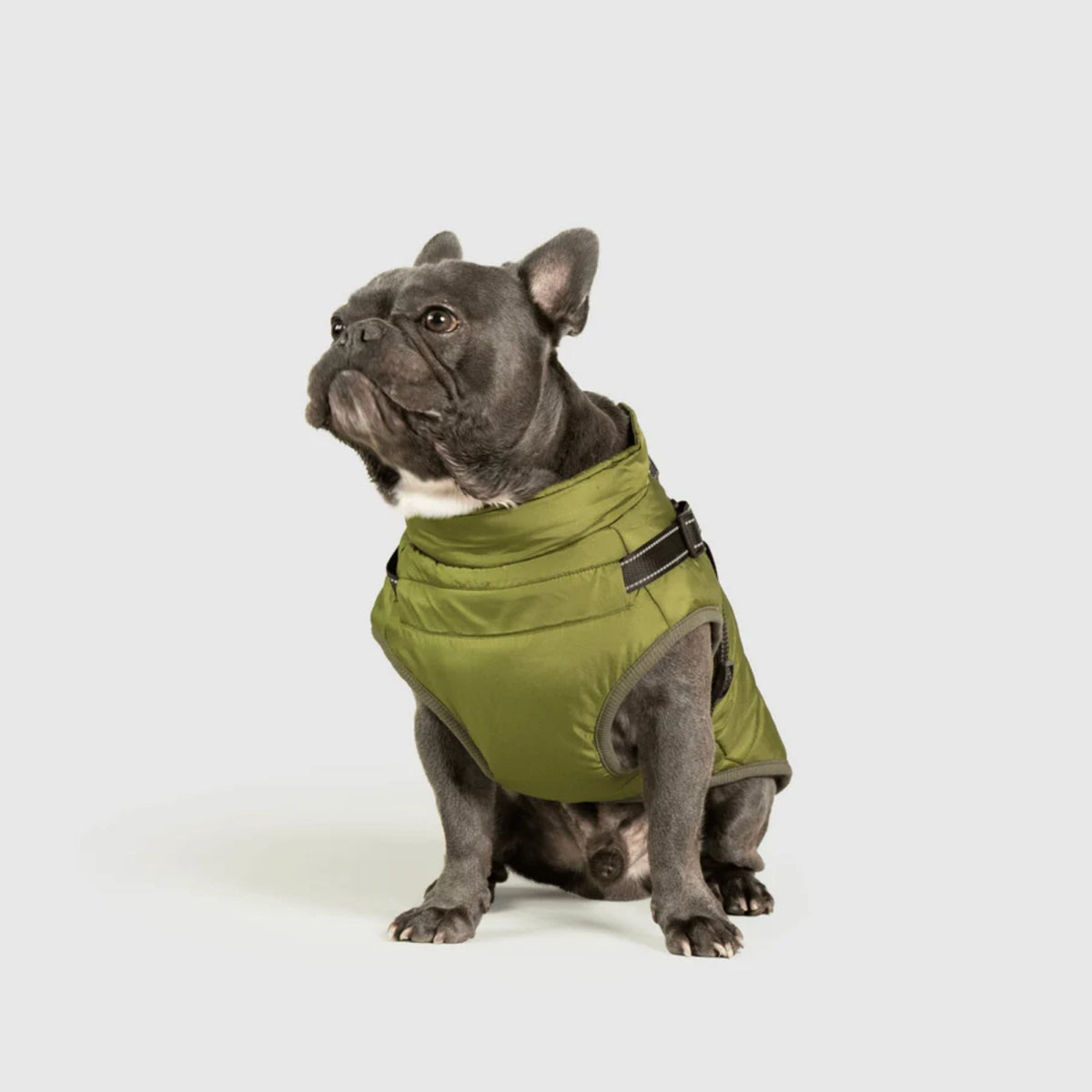 DoggyKings™ płaszcz dla psów (3 w 1)