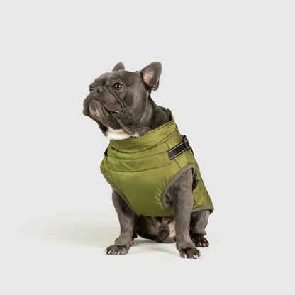 DoggyKings™ płaszcz dla psów (3 w 1)