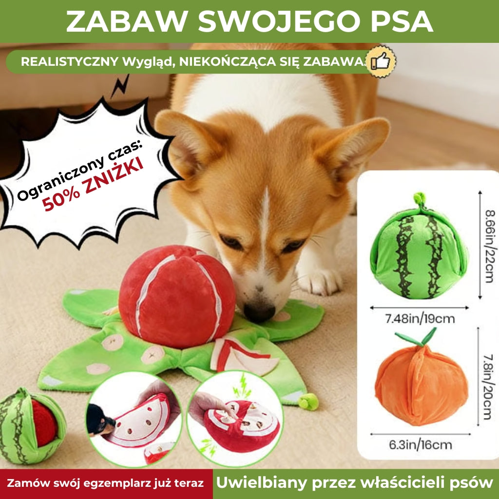 Zabawka łowiecka dla psa [Hunt & Find]