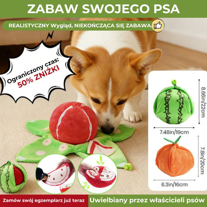 Zabawka łowiecka dla psa [Hunt & Find]